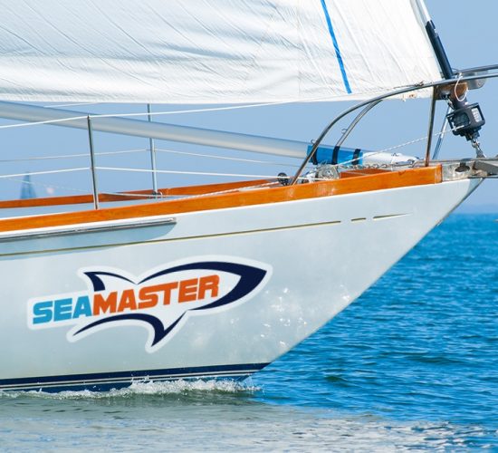 Custom Vinyl Sticker Printing