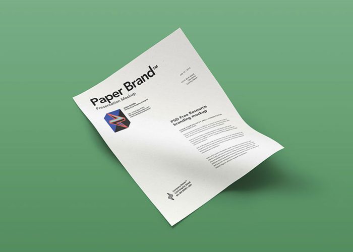 Company Letter Head